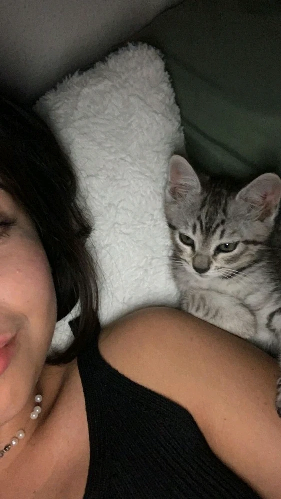 GIF uploaded by Sophie
