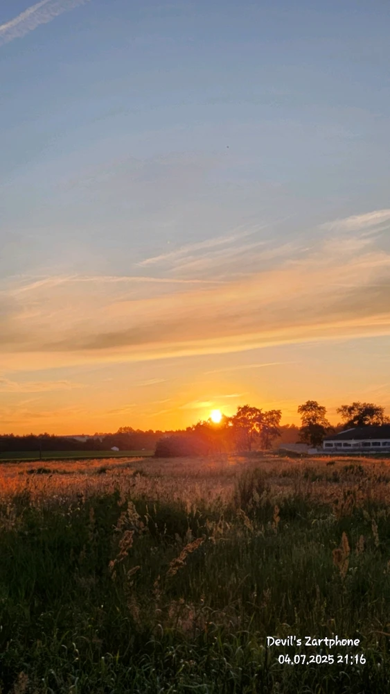 Bild hochgeladen von Devil