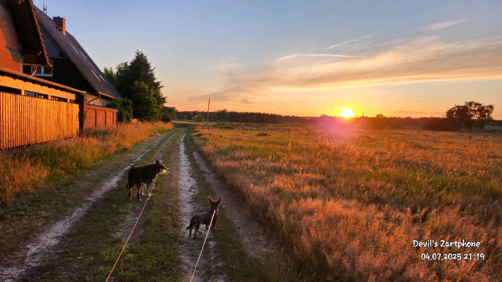 Bild hochgeladen von Devil