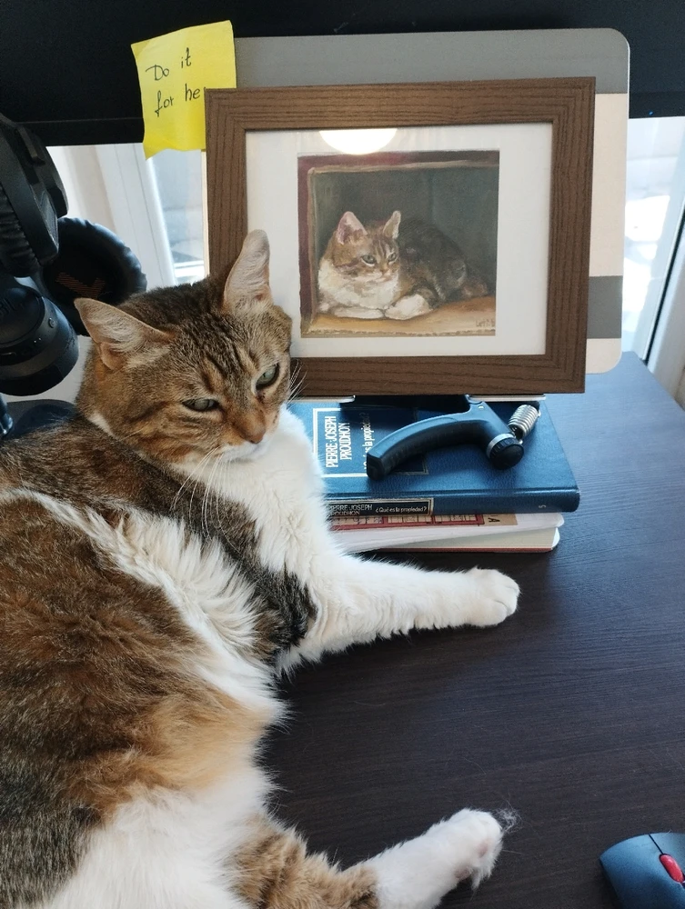 GIF subido por Diego