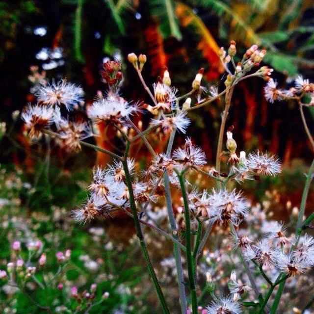 GIF được Jasmine tải lên