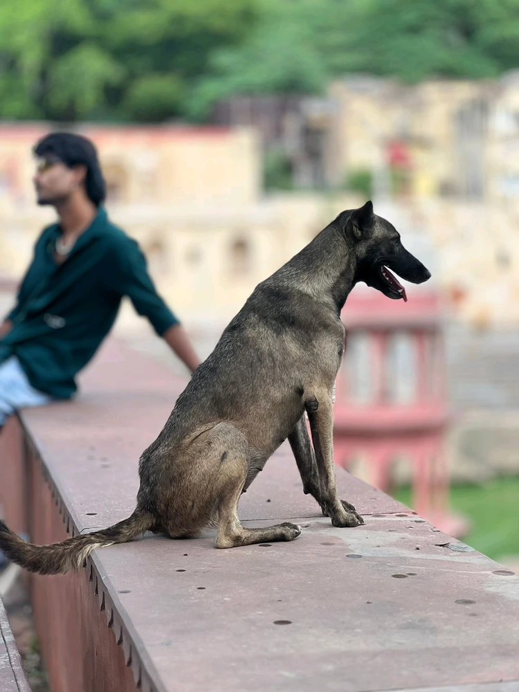 GIF uploaded by Shubham