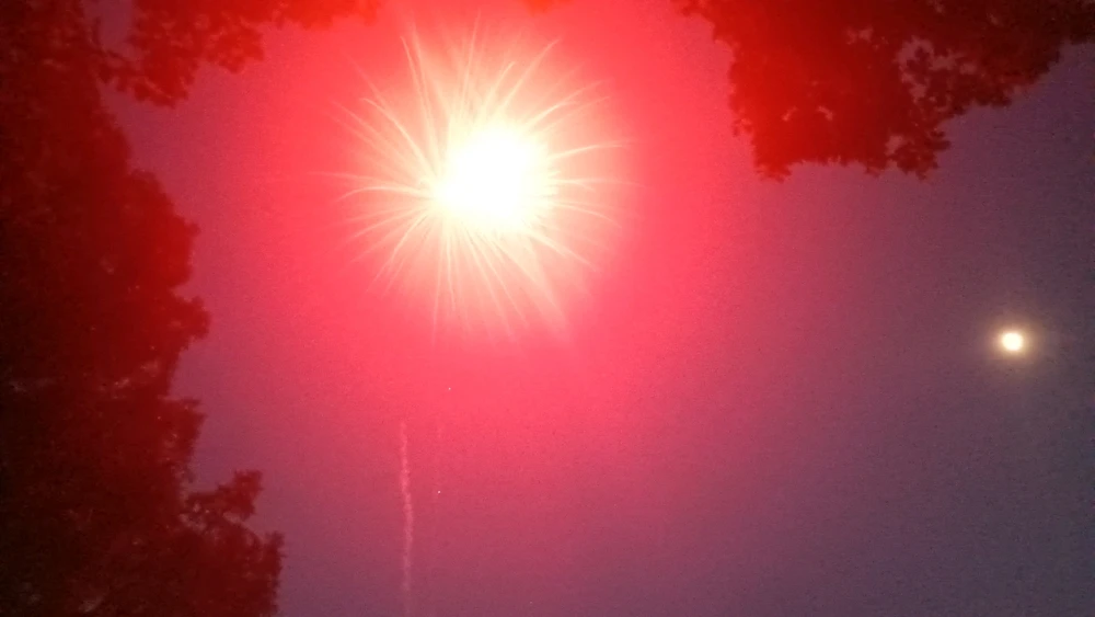 Image uploaded by Reo