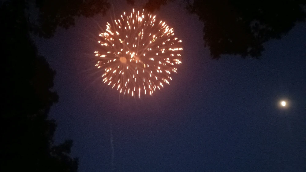 Image uploaded by Reo