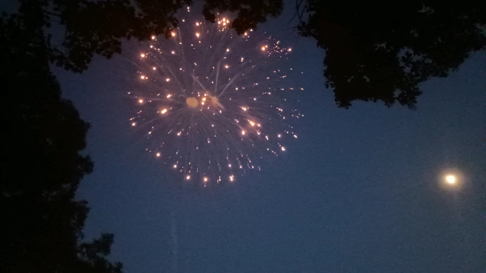 Image uploaded by Reo