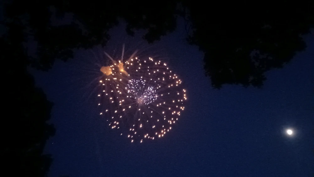 Image uploaded by Reo