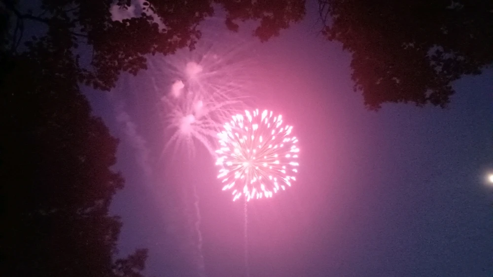 Image uploaded by Reo