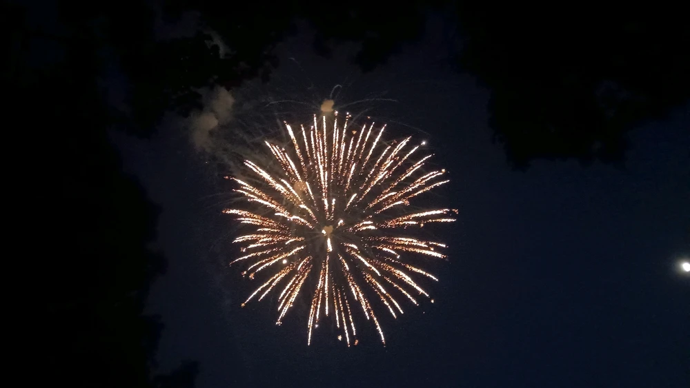 Image uploaded by Reo