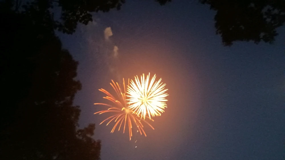 Image uploaded by Reo