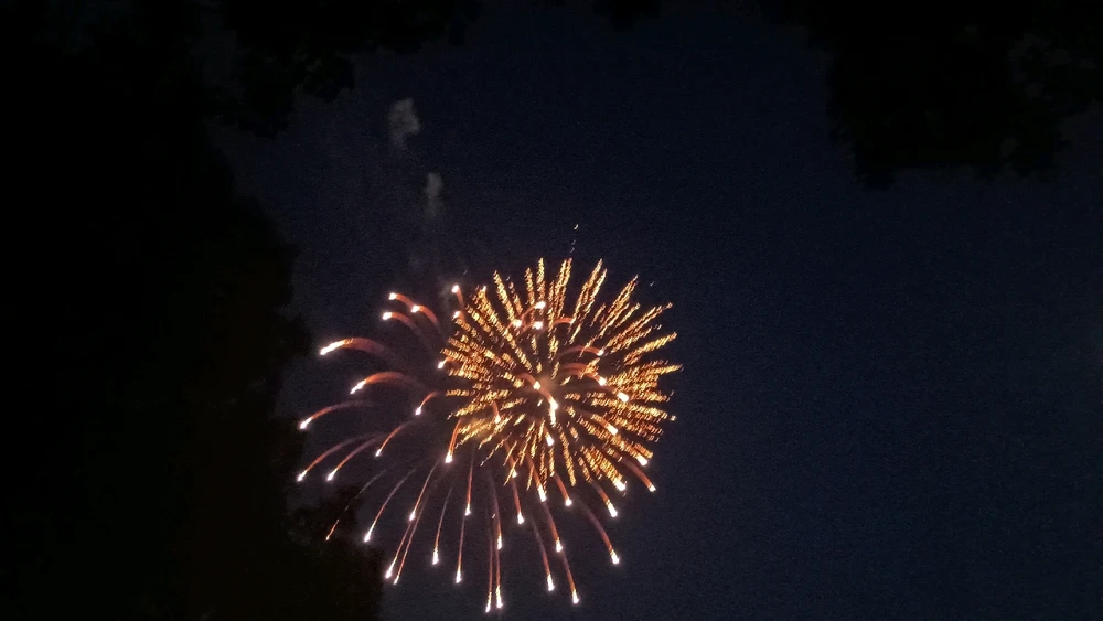 Image uploaded by Reo