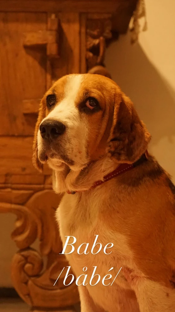 ディヨンがアップロードした画像