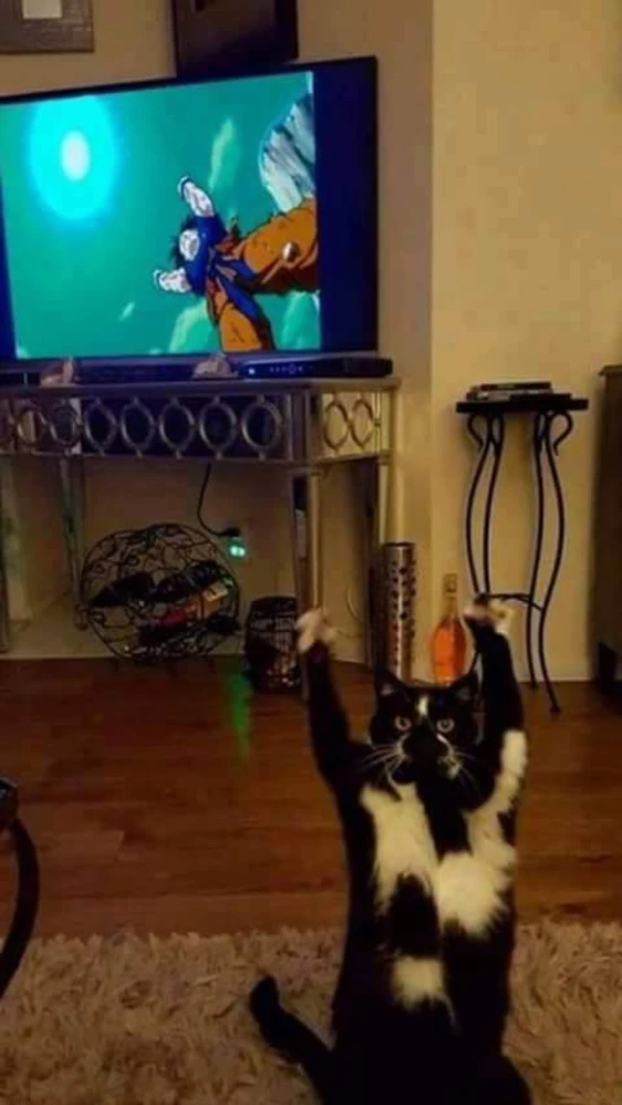 GIF hochgeladen von Skepsisgenosse