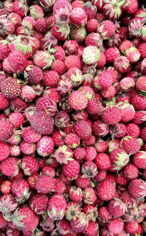 Image uploaded by Альбина