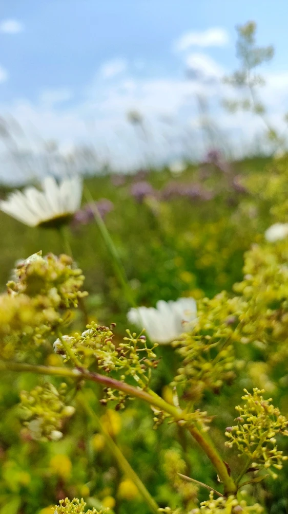 Image uploaded by Альбина