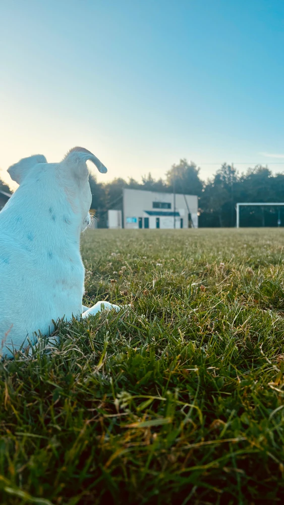 Image ajoutée par William