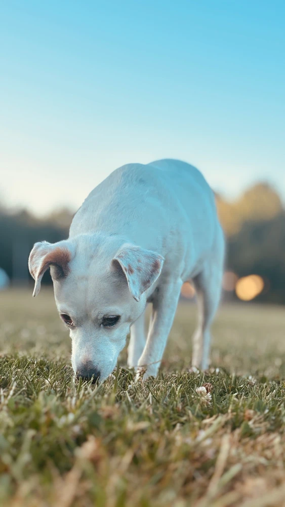 Image ajoutée par William