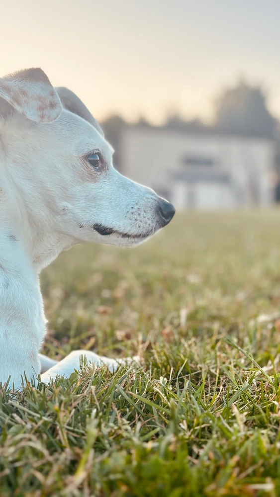 Image ajoutée par William