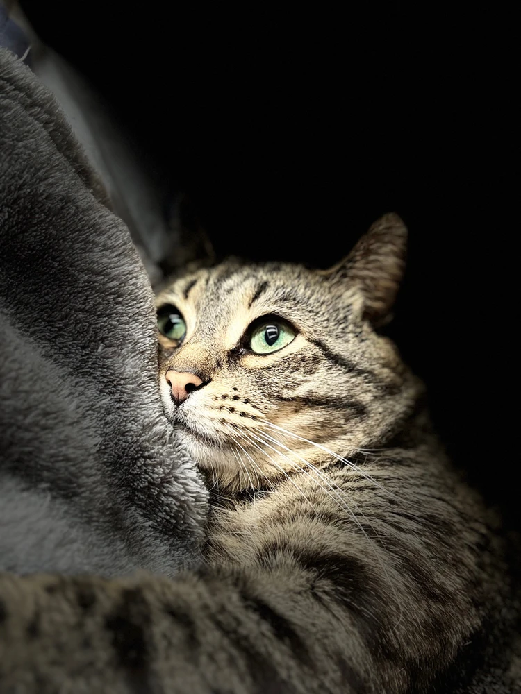 GIF hochgeladen von Angi