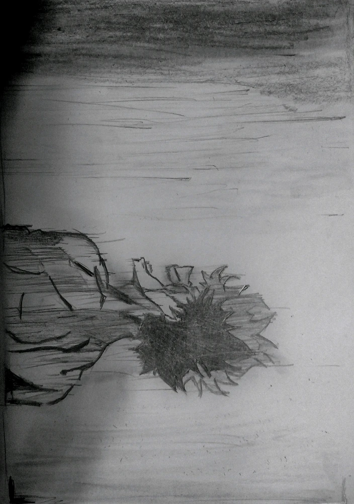 GIF uploaded by Raja