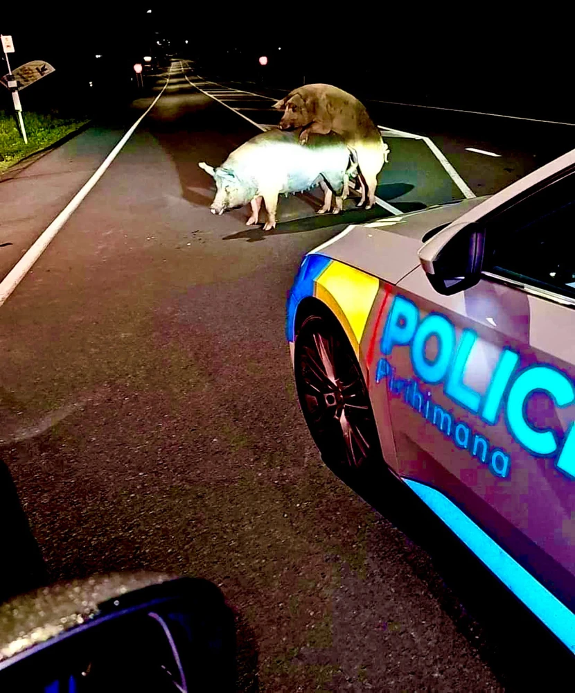 GIF uploaded by • A{eye} • M € € •