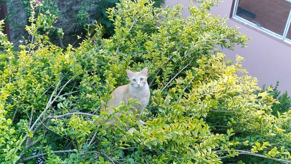 GIF uploaded by ❤ Sophia aka Mango Mami ❤️