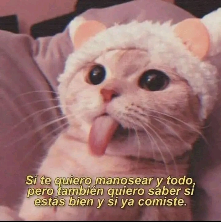 GIF subido por Andrés