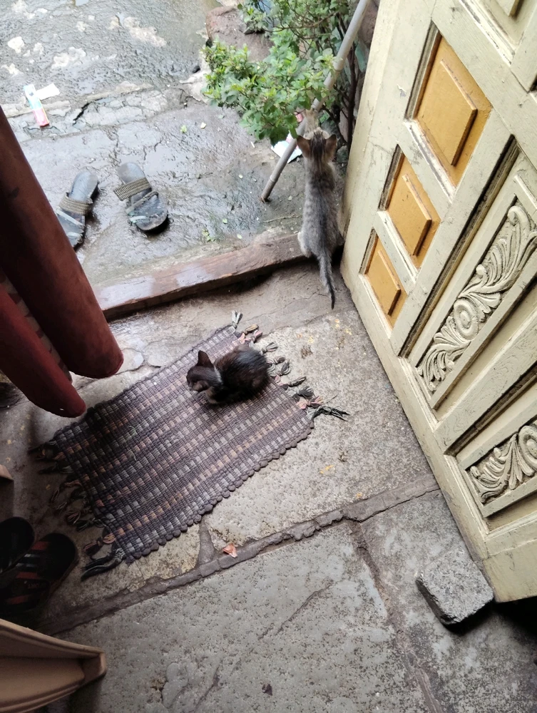 GIF uploaded by Deepak Gaikwad