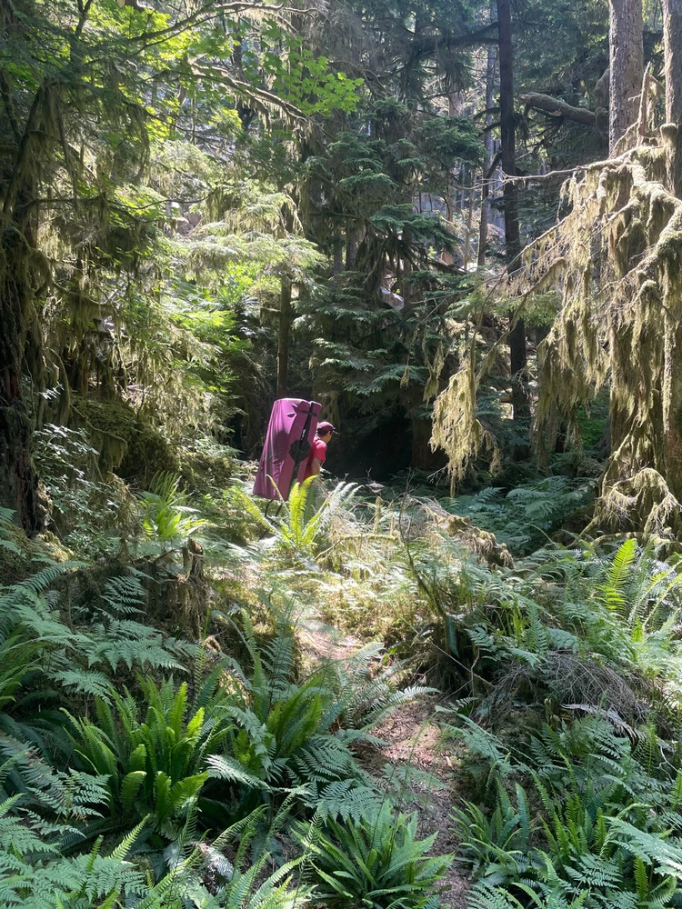 Imagen subida por Carlos