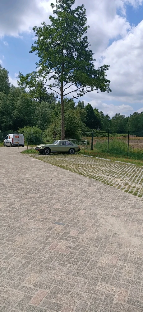 Afbeelding geüpload door Tom