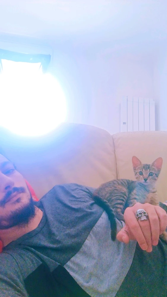 GIF ajouté par Jonathan