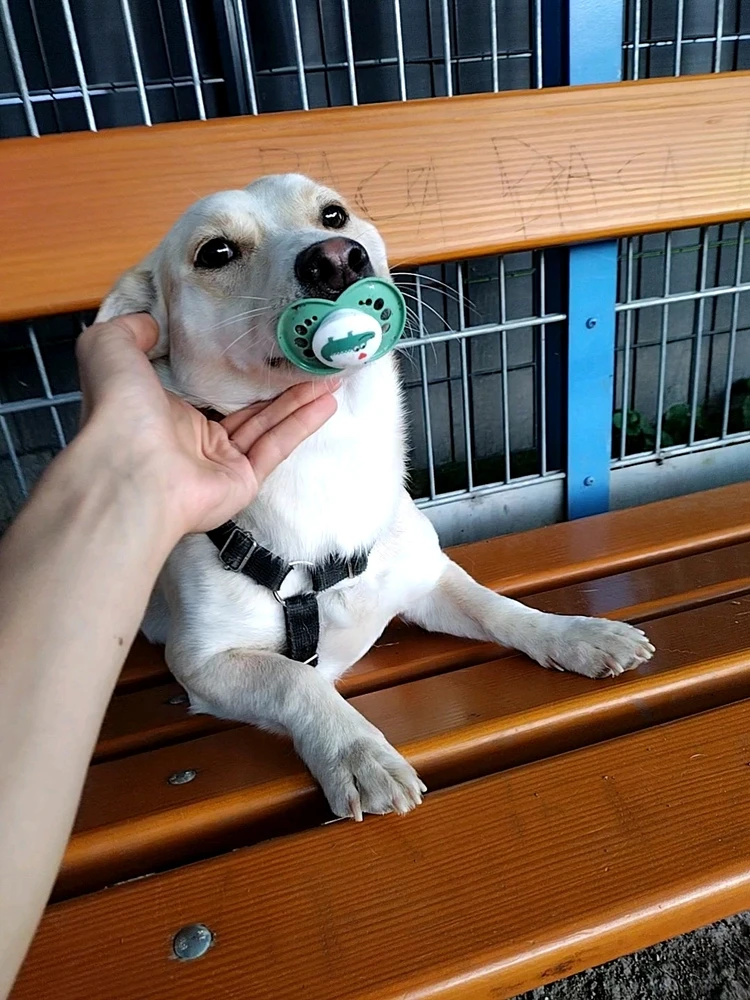 GIF uploaded by Kacper