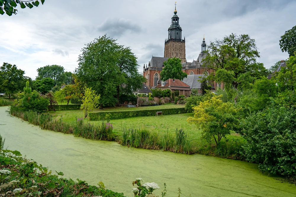 Image uploaded by Peter