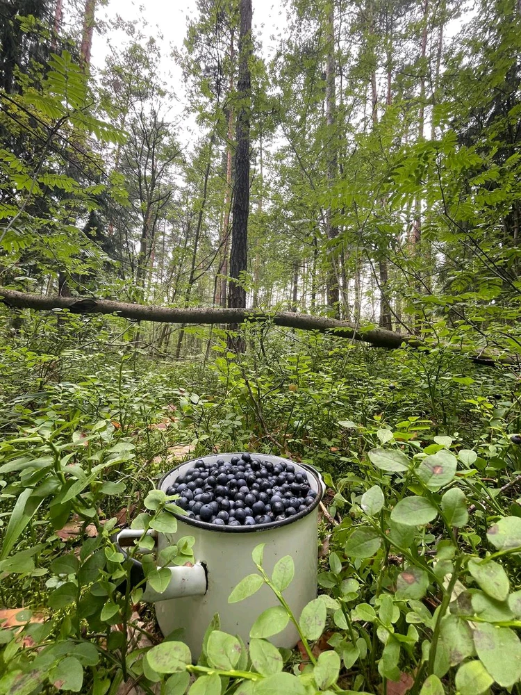 Фото загрузил Anatolii