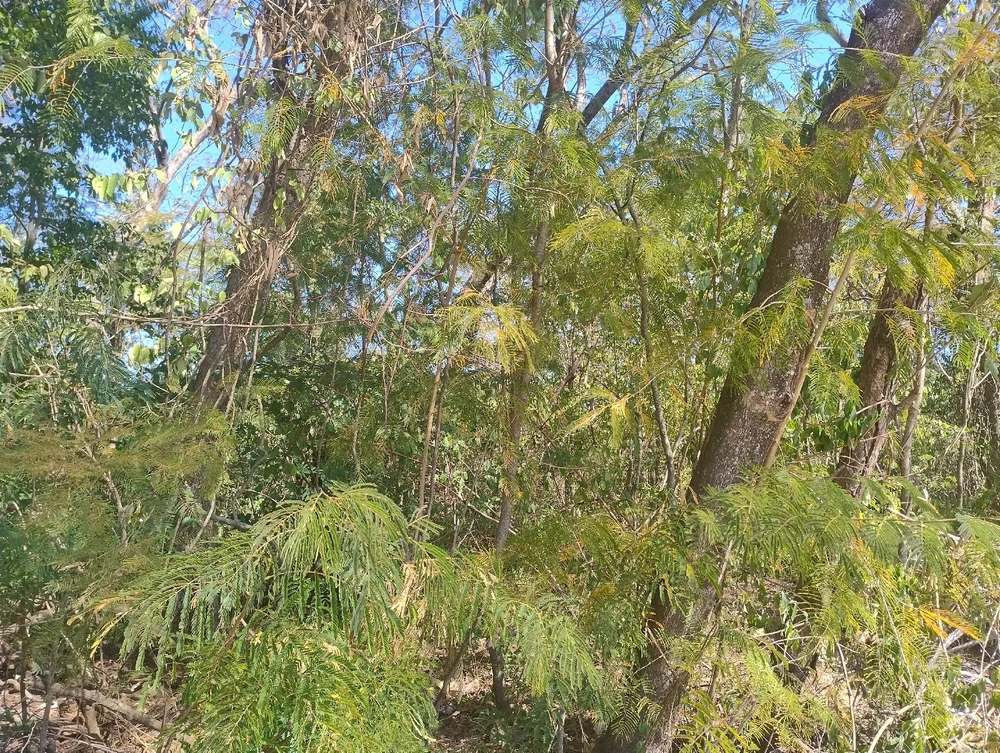 GIF enviado por Rodrigo