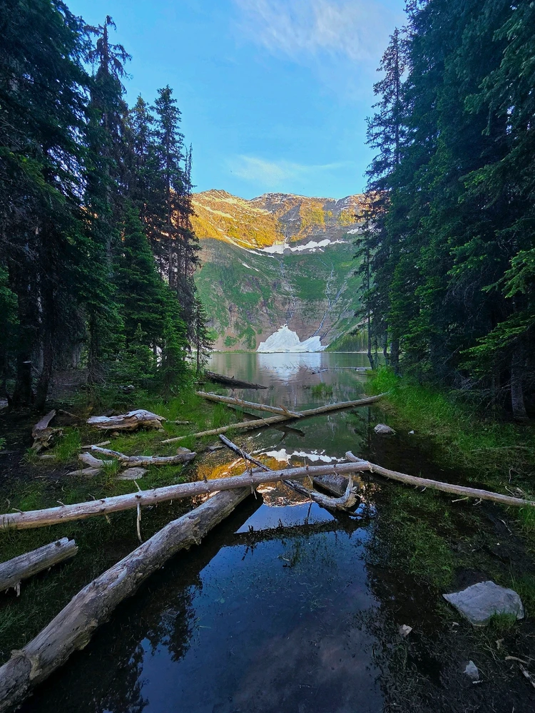 Image uploaded by Chelsea