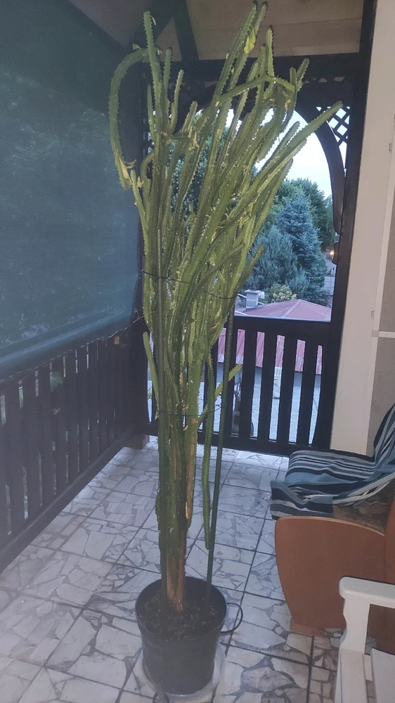 Zdjęcie dodane przez Krzysztof