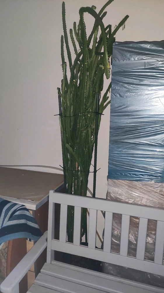 Zdjęcie dodane przez Krzysztof