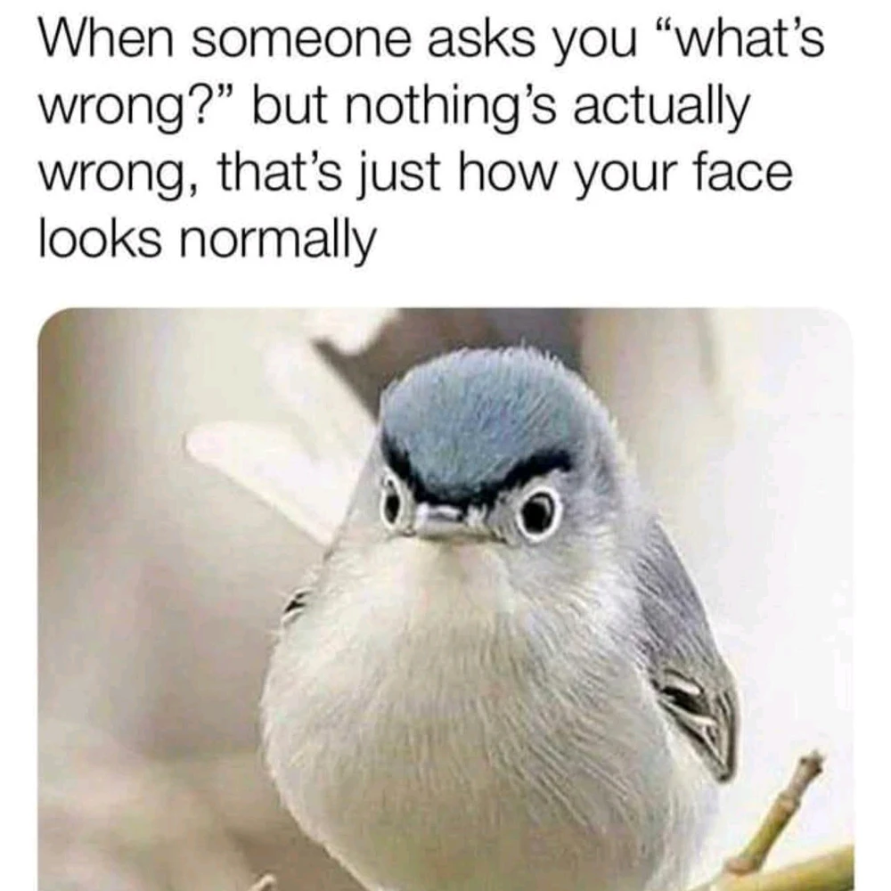 GIF-tiedoston lisäsi Sampsa