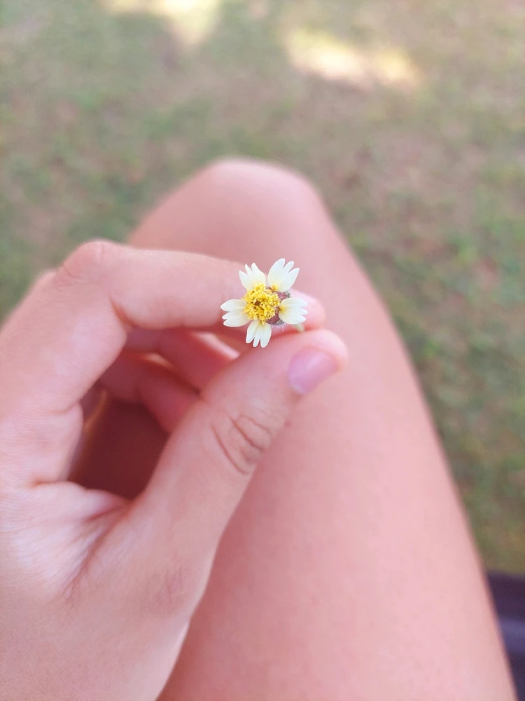 GIF uploaded by Amanda