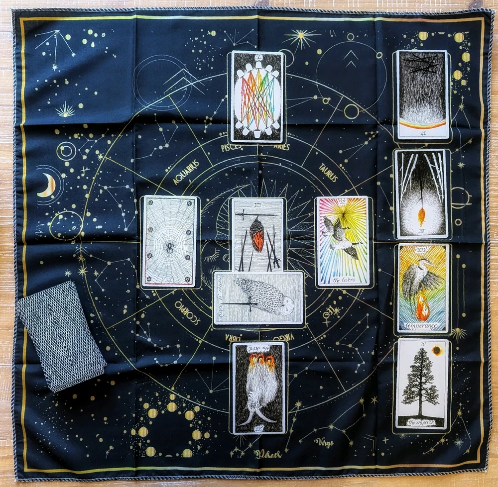 GIF uploaded by Melissa