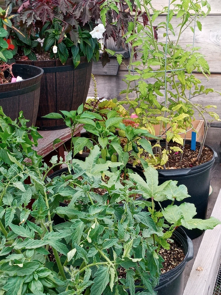 Image uploaded by Brooke