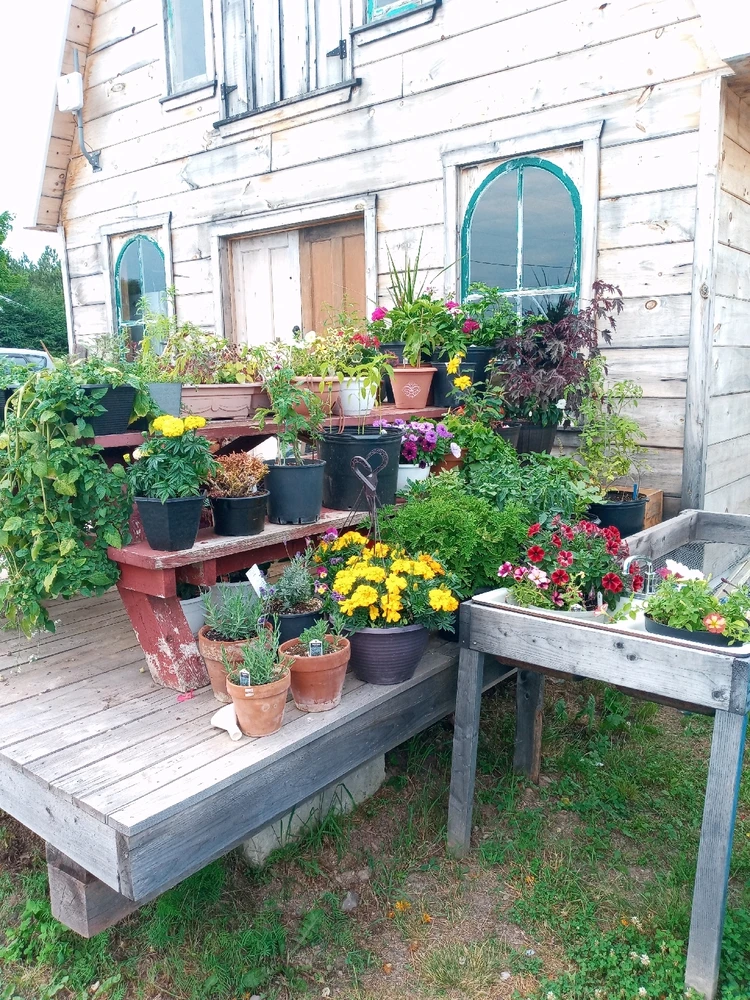 Image uploaded by Brooke