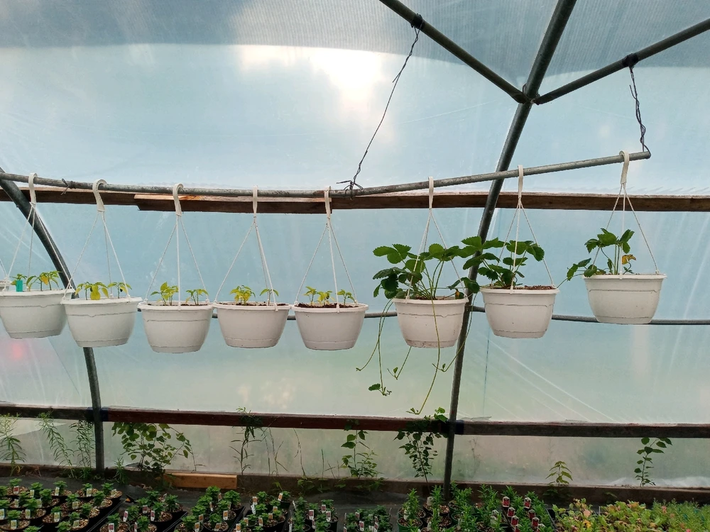 Image uploaded by Brooke