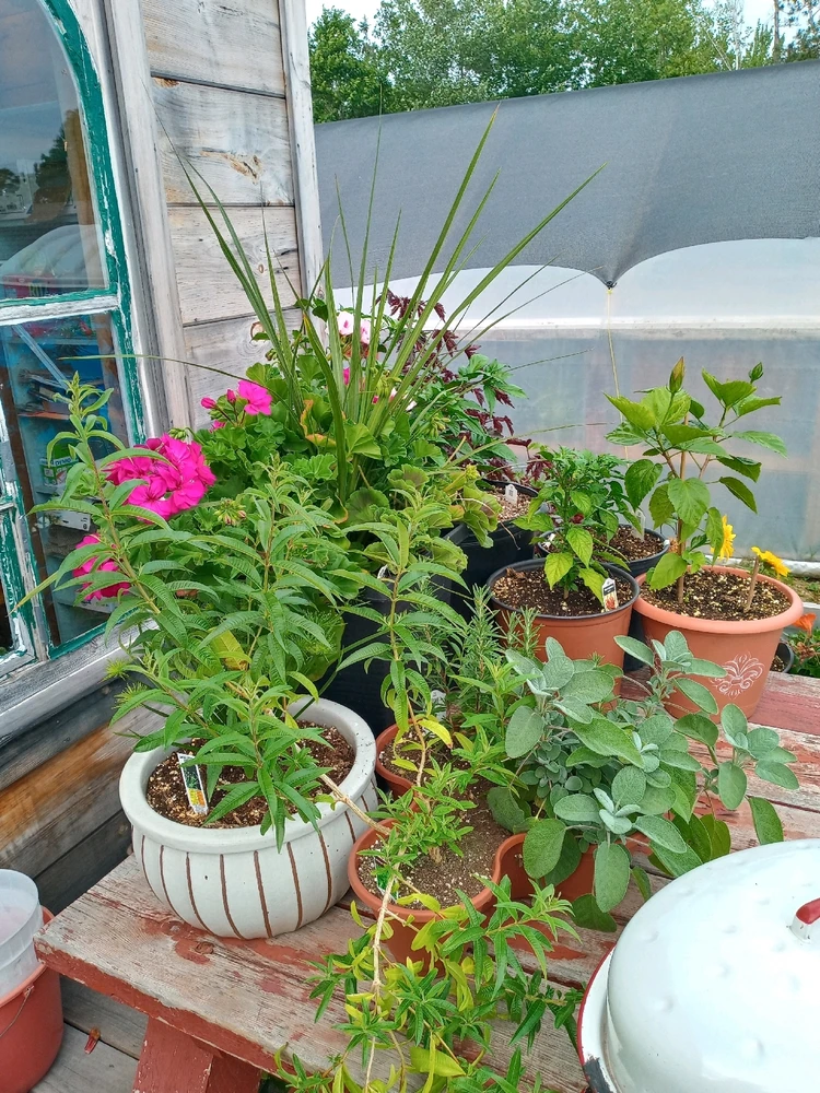 Image uploaded by Brooke