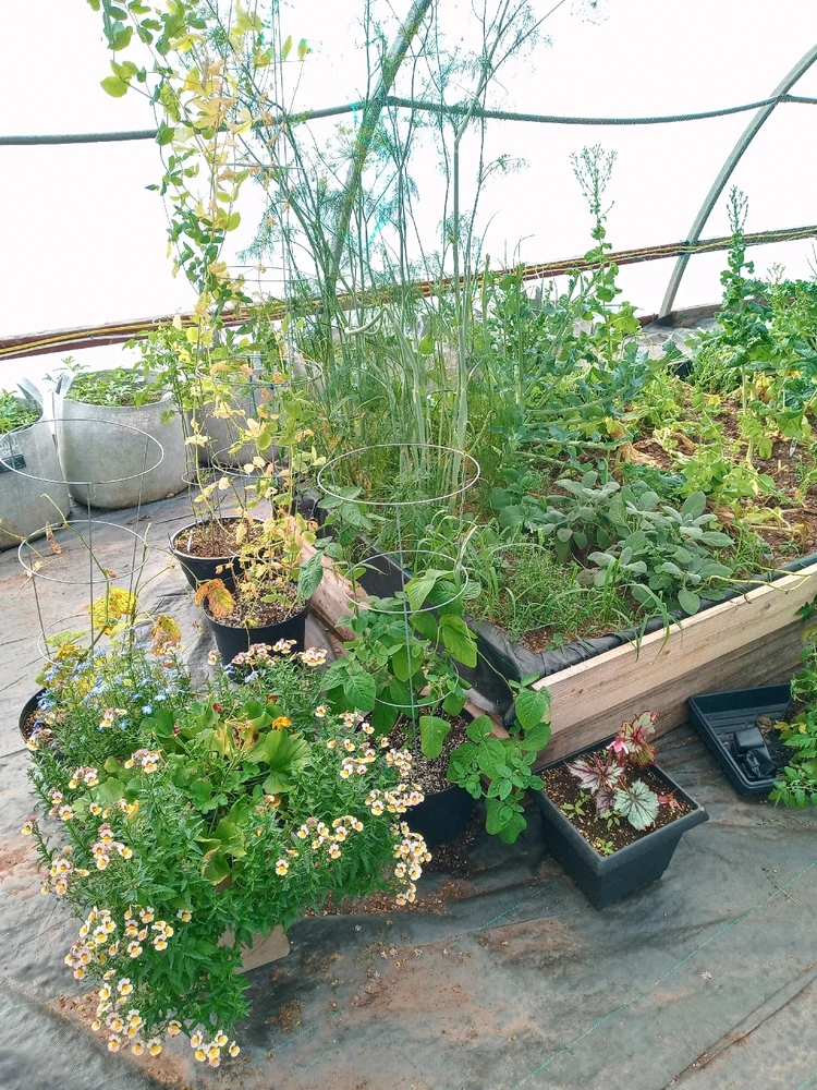 Image uploaded by Brooke