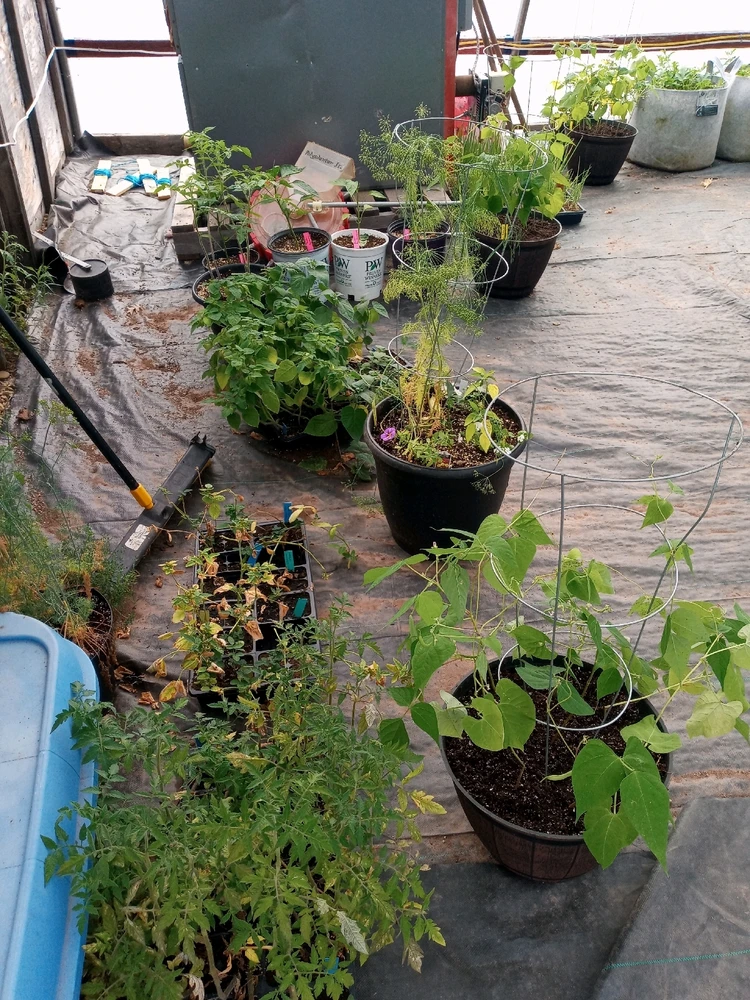 Image uploaded by Brooke