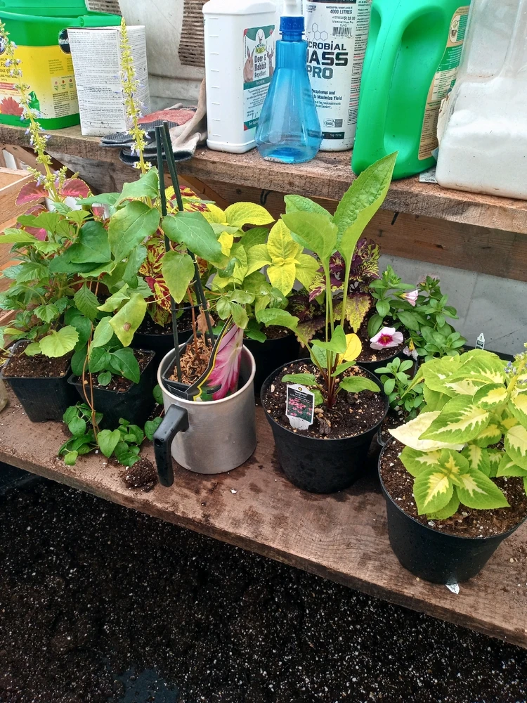 Image uploaded by Brooke