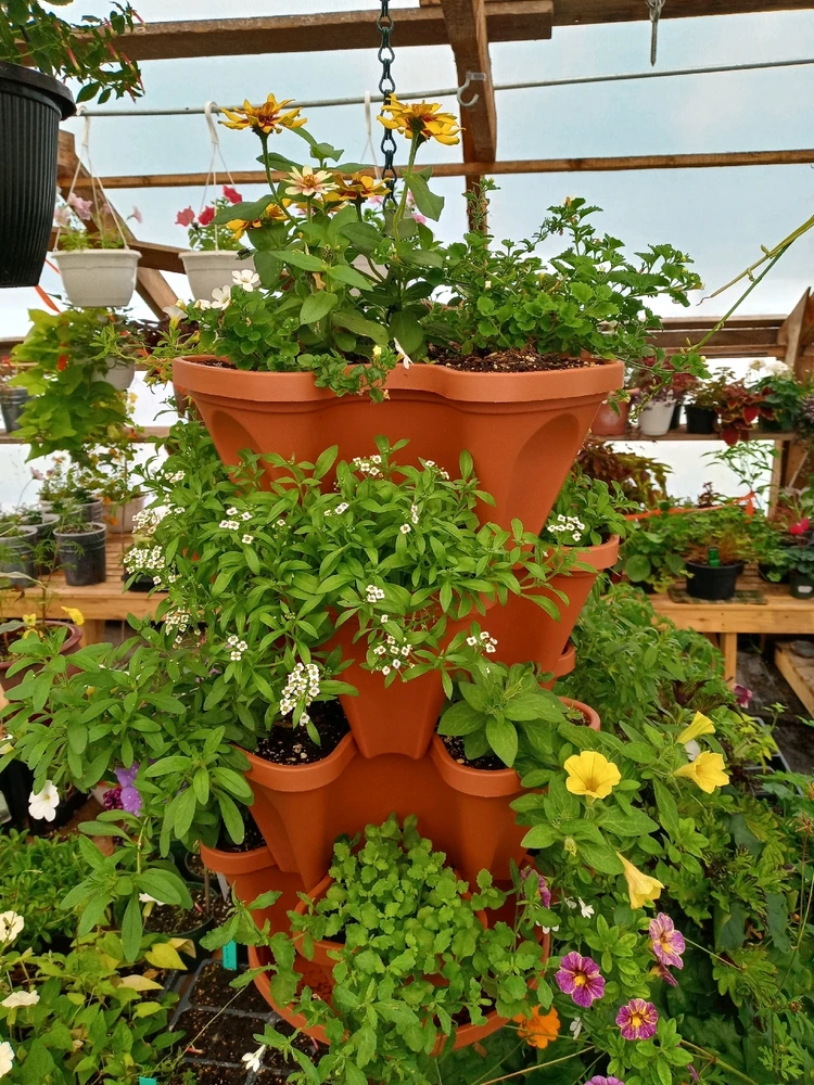 Image uploaded by Brooke