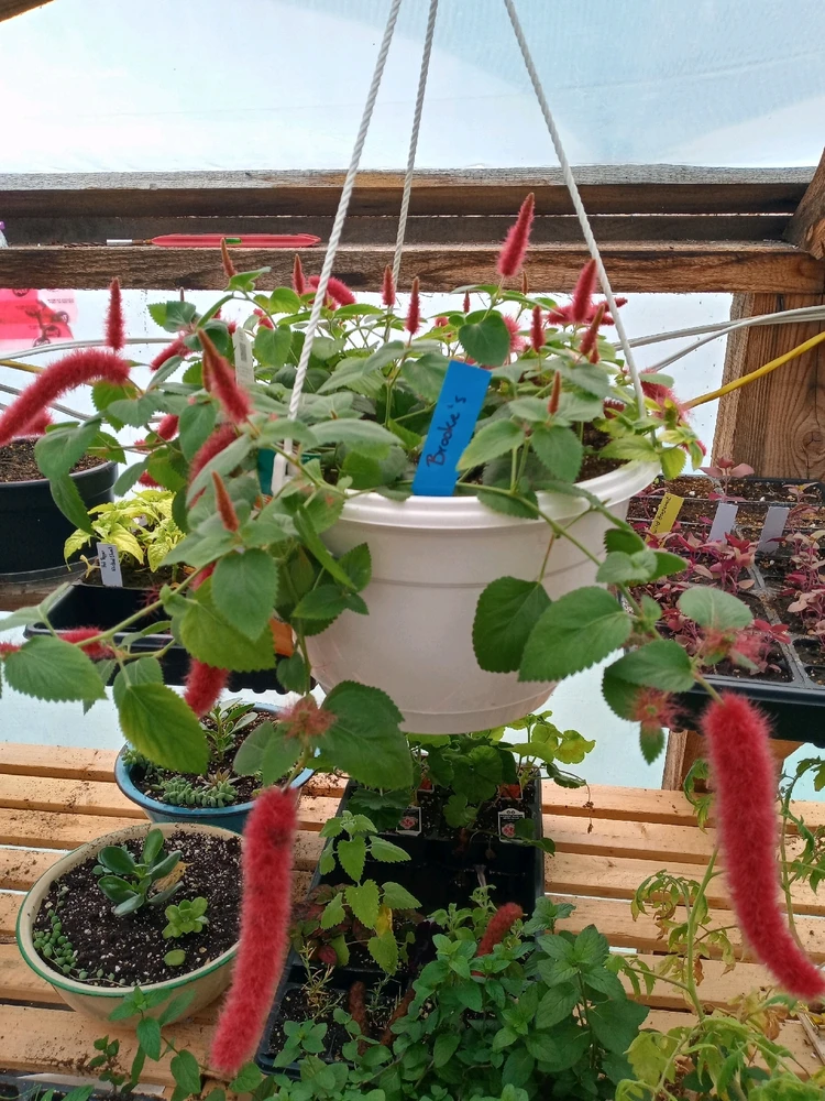 Image uploaded by Brooke