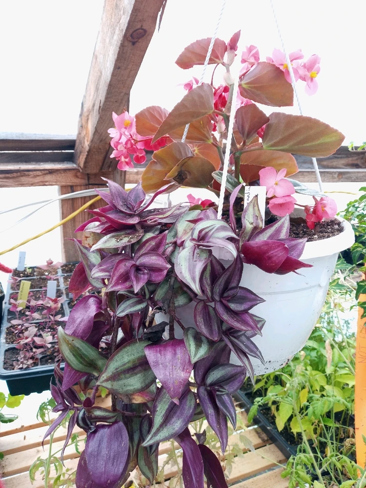 Image uploaded by Brooke